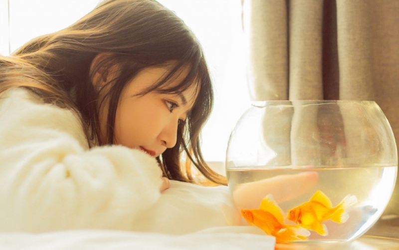 毛衣美女长发披肩温婉动人美图