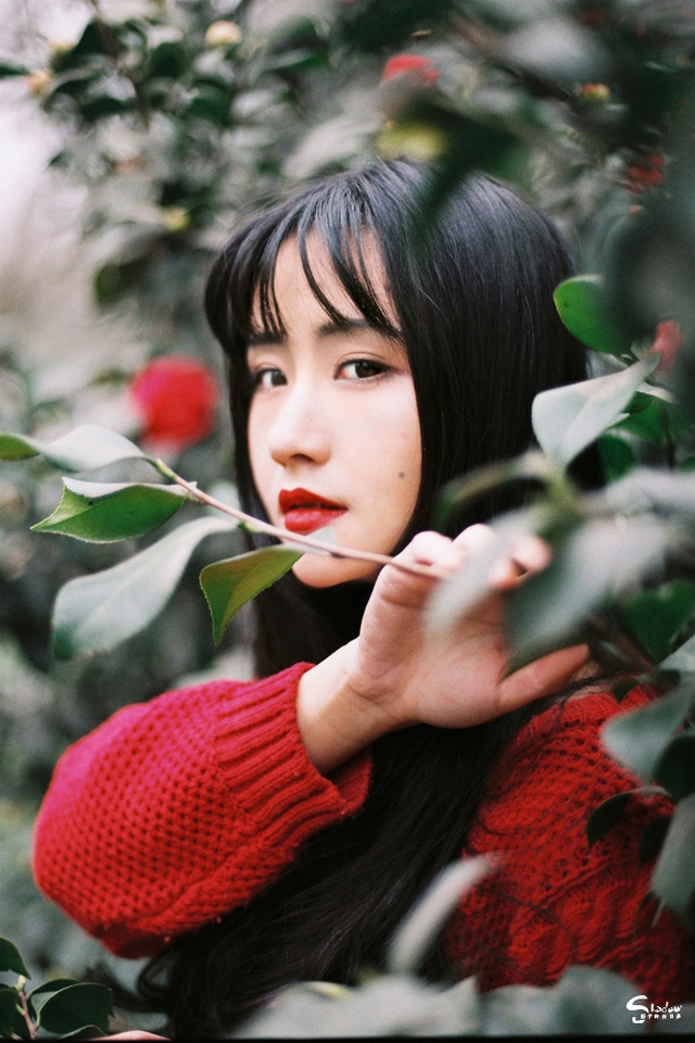 黑长直发美女红唇雪肤花丛写真