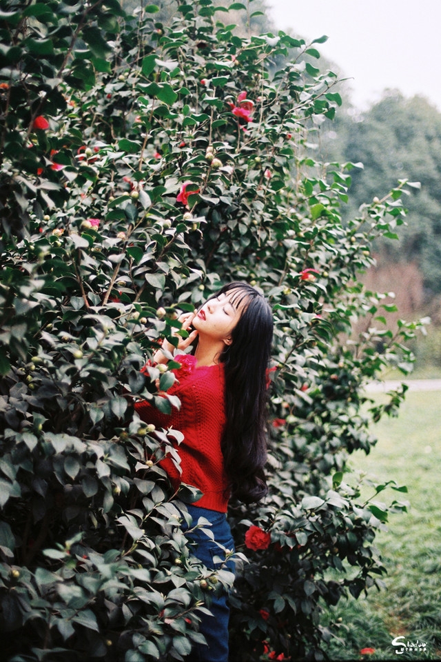 黑长直发美女红唇雪肤花丛写真