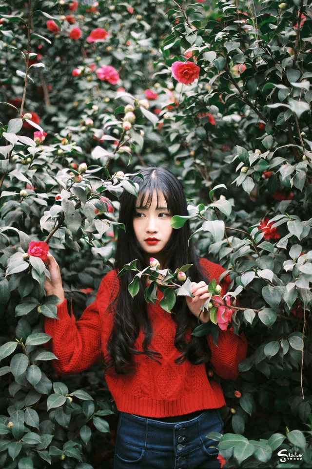 黑长直发美女红唇雪肤花丛写真