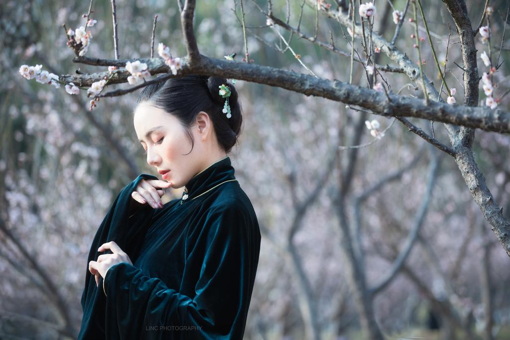 樱花树下汉服美女高贵典雅图片