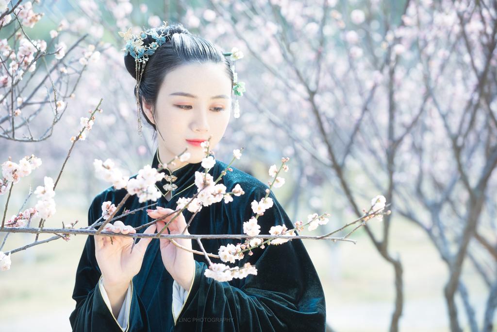 樱花树下汉服美女高贵典雅图片