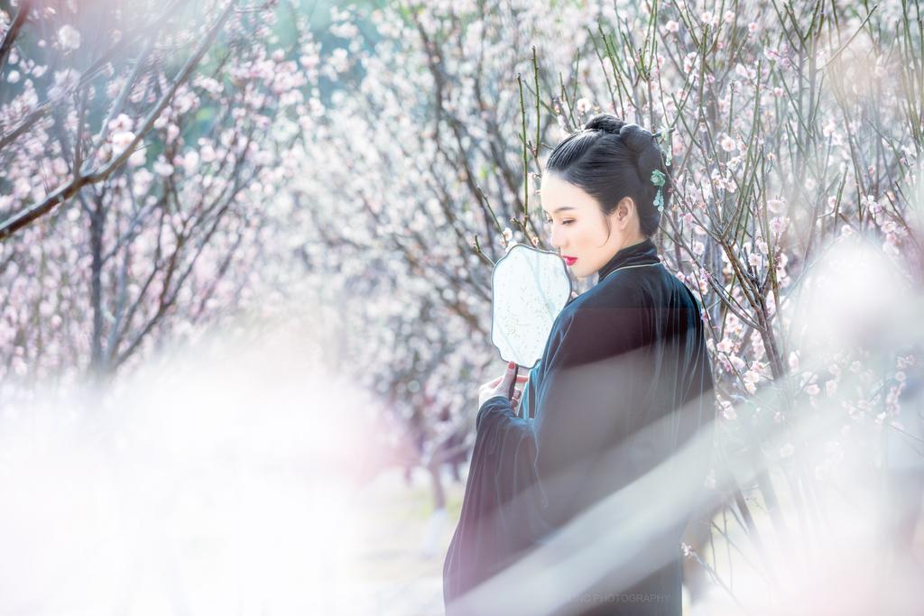 樱花树下汉服美女高贵典雅图片