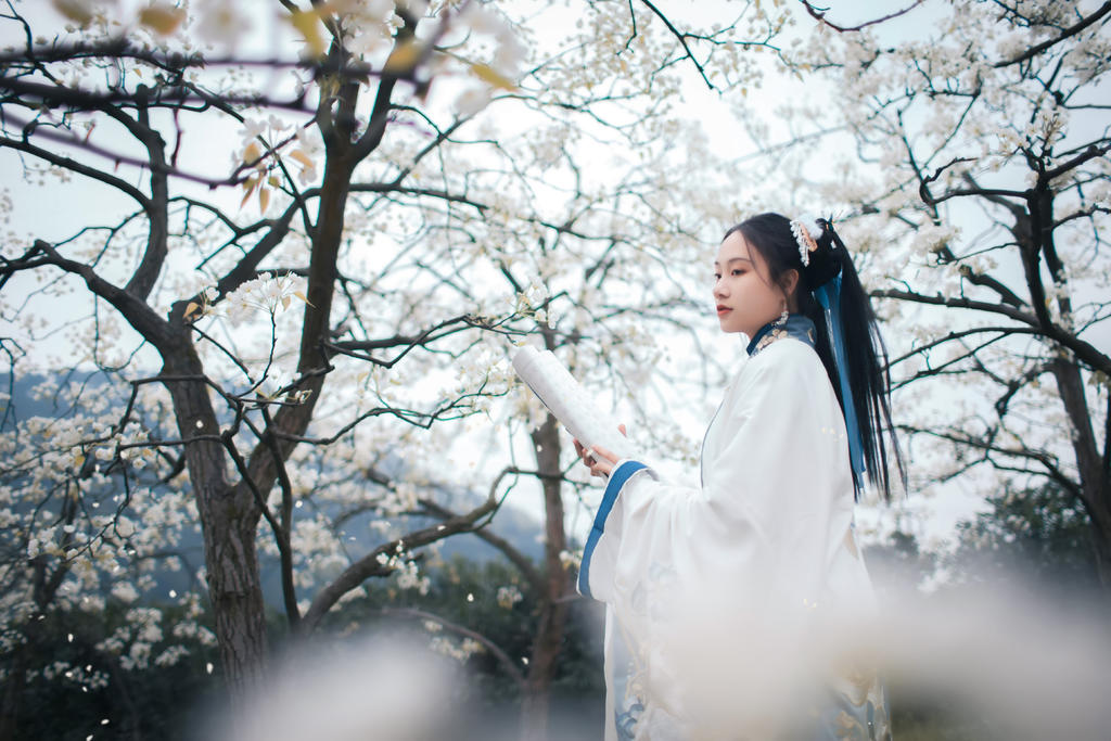 樱花树下汉服美女唯美清新摄影