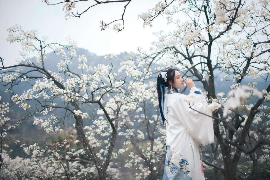 樱花树下汉服美女唯美清新摄影