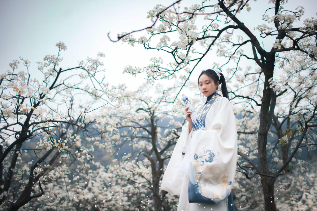 樱花树下汉服美女唯美清新摄影