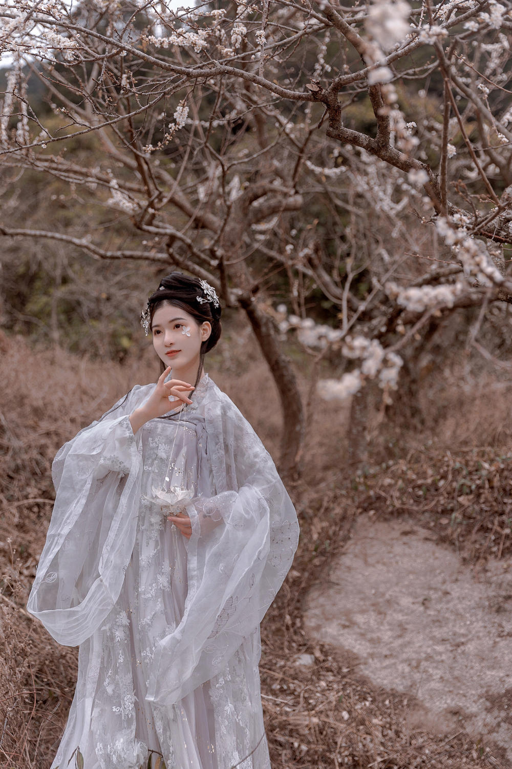 古装美女白衣飘飘仙气十足美图