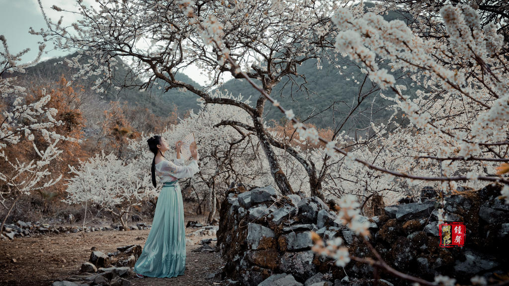 古装美女樱花树下唯美浪漫写真