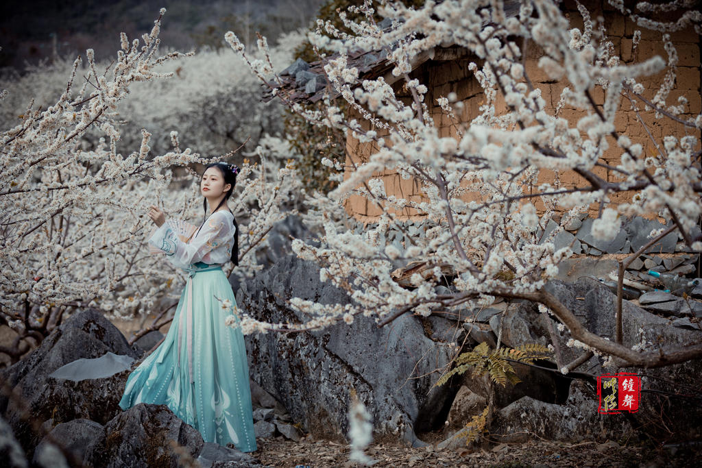 古装美女樱花树下唯美浪漫写真