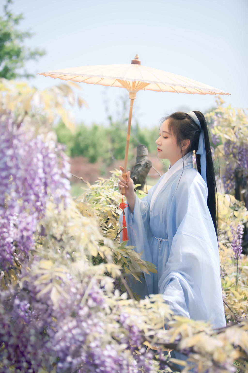 古装美女手撑油伞漫步紫藤美图