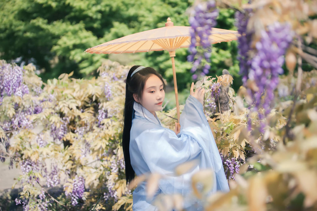 古装美女手撑油伞漫步紫藤美图