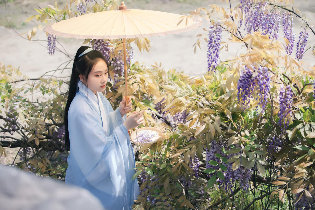 古装美女手撑油伞漫步紫藤美图