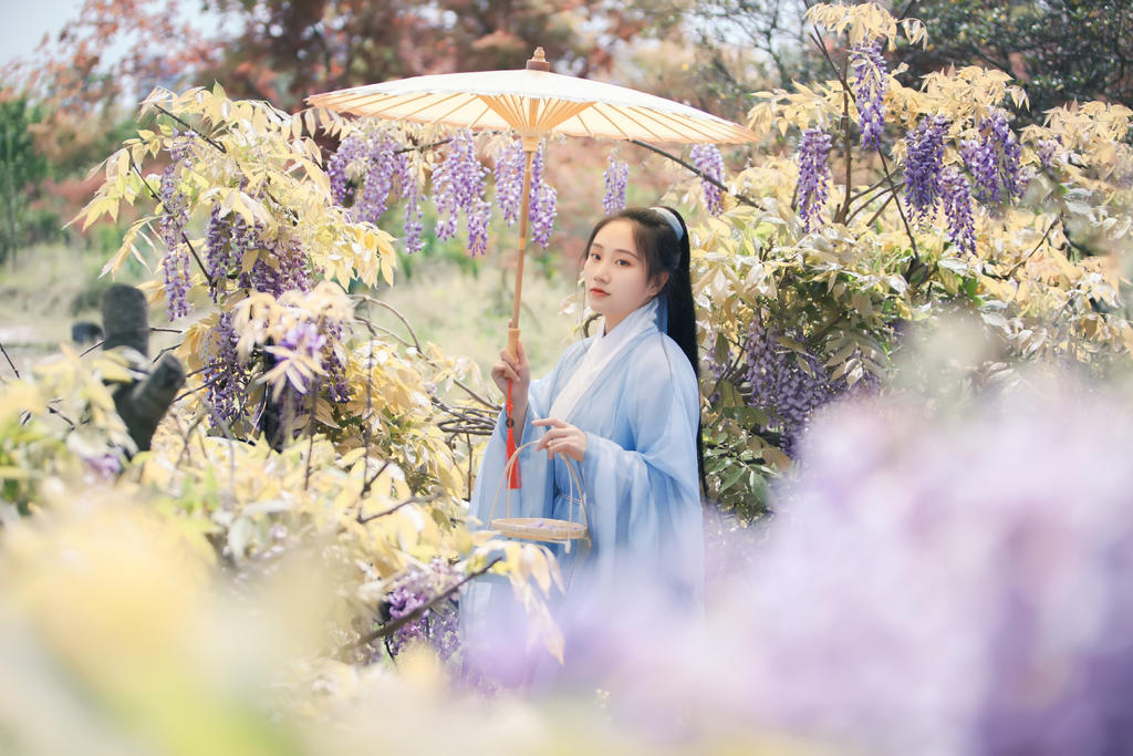 古装美女手撑油伞漫步紫藤美图
