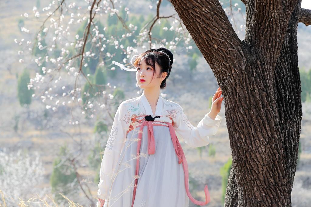 汉服美女樱花树下唯美古风摄影