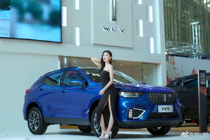 开叉长裙美女车模高跟美腿私拍