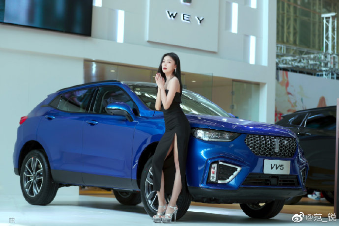 开叉长裙美女车模高跟美腿私拍