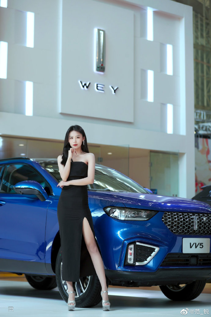 开叉长裙美女车模高跟美腿私拍