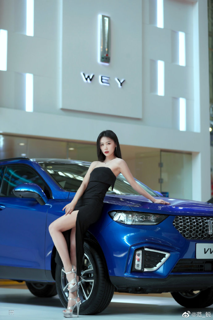 开叉长裙美女车模高跟美腿私拍