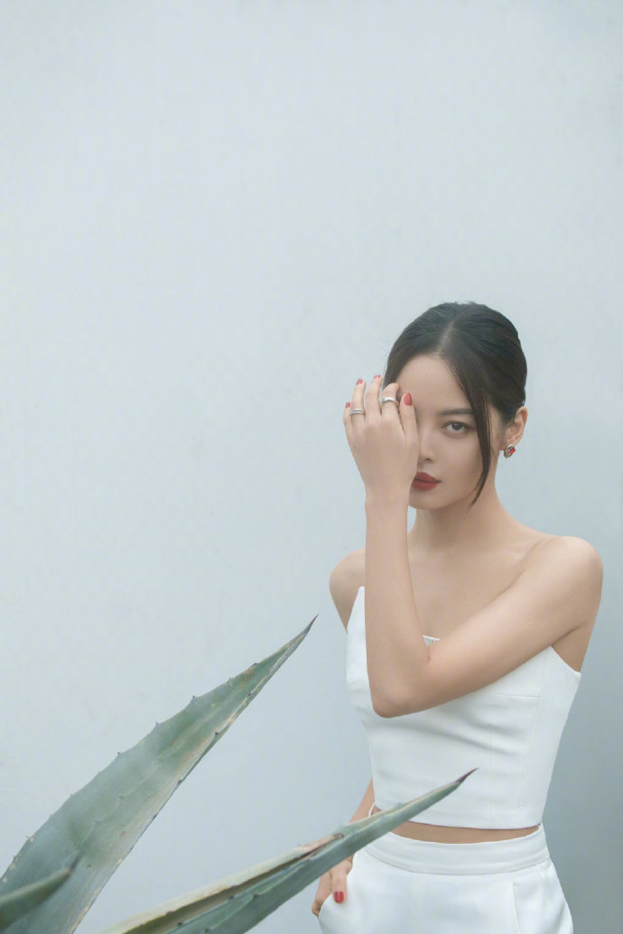 辛芷蕾简约造型诠释优雅大气写真