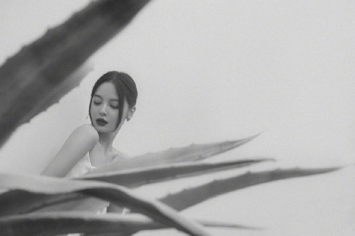 辛芷蕾简约造型诠释优雅大气写真