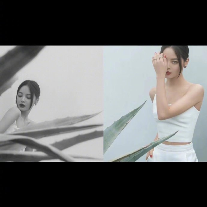 辛芷蕾简约造型诠释优雅大气写真
