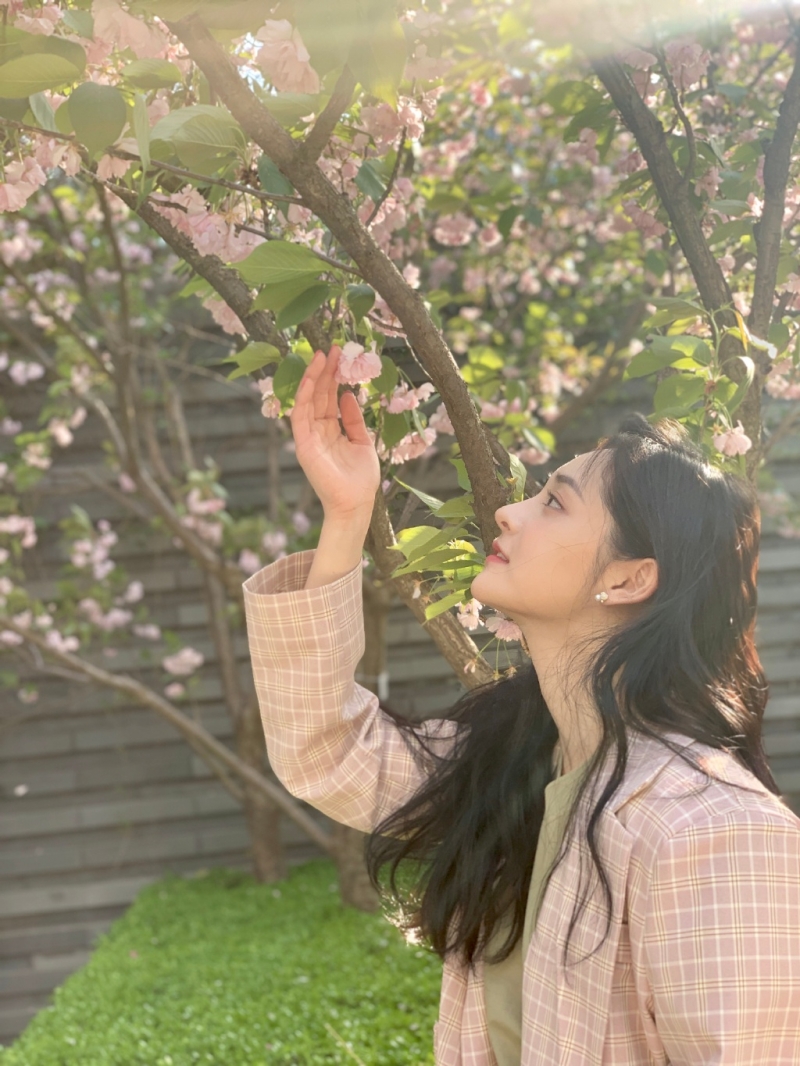 周洁琼漫步樱花树下清新文艺写真