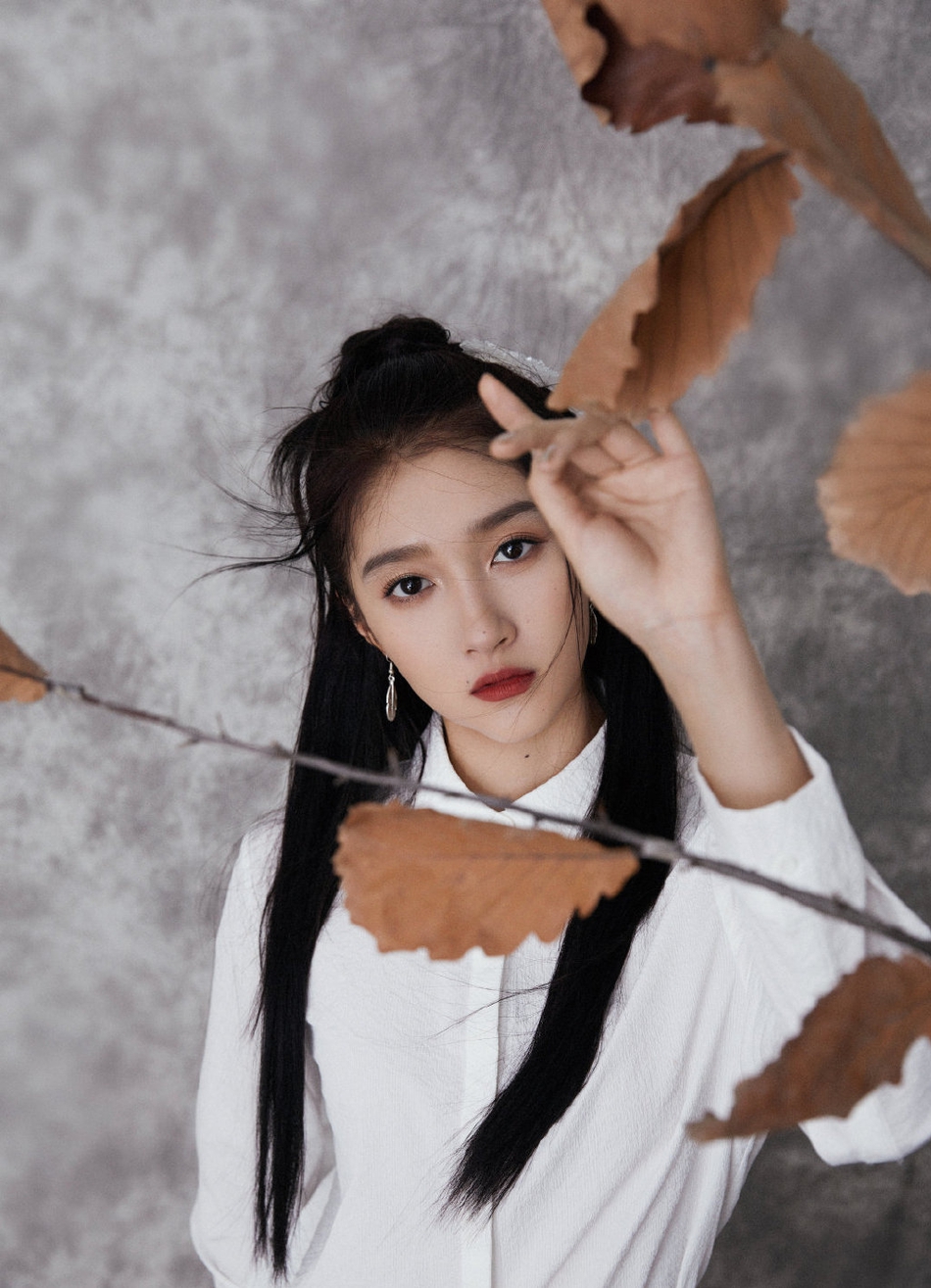 关晓彤水墨国风造型端庄优雅写真