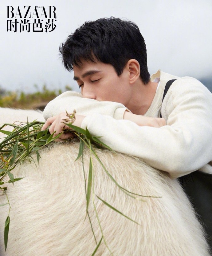 朱一龙置身田野间满满治愈感写真