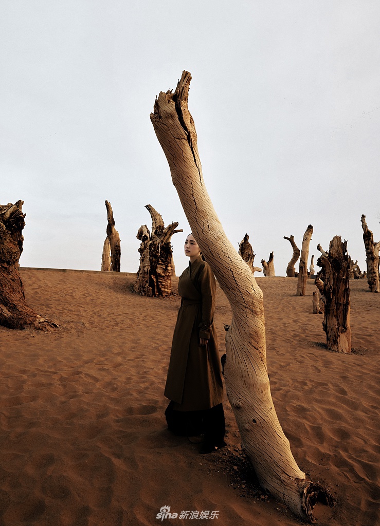 董璇化身侠女禅意十足时尚写真