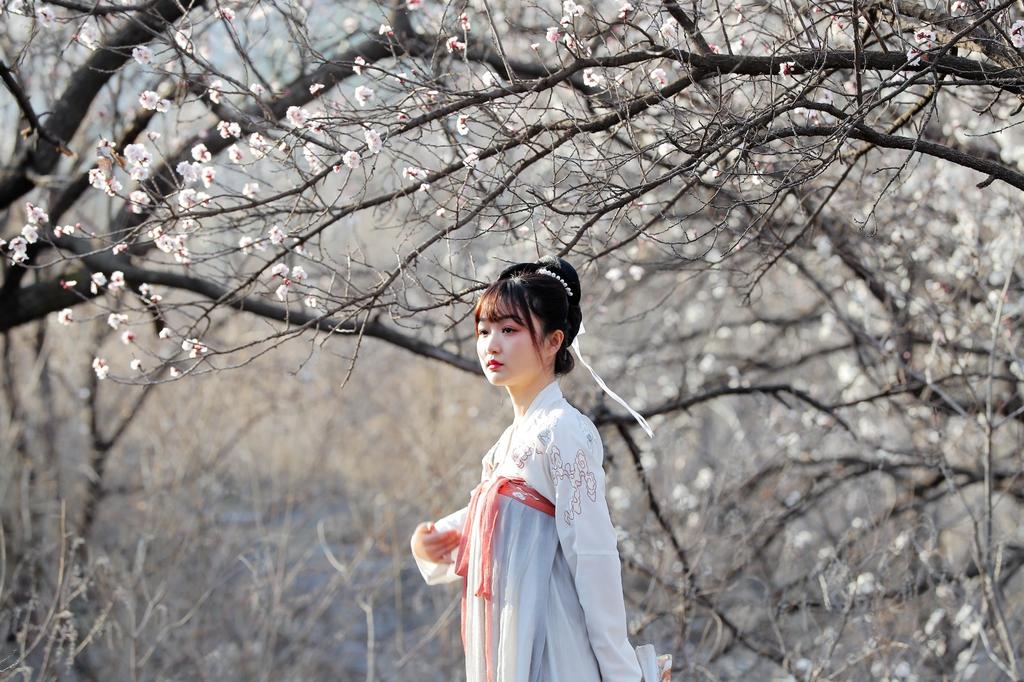 桃花树下汉服美女唯美古风摄影