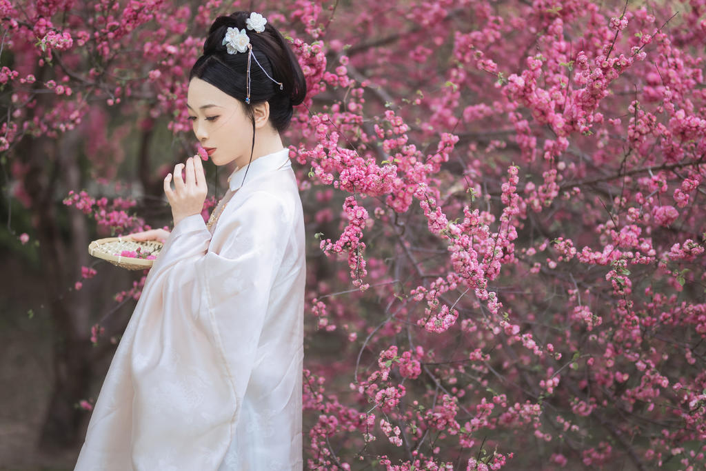 古装美女白衣飘飘端庄典雅图片