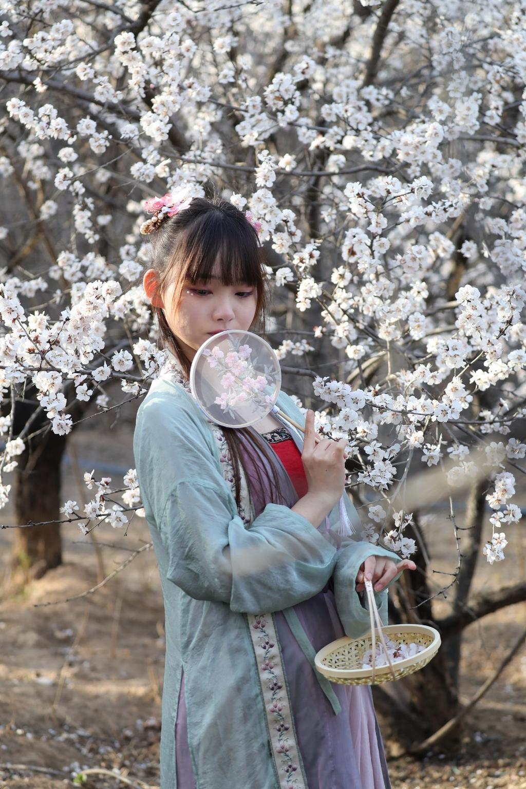 汉服美女桃花树下唯美浪漫图片